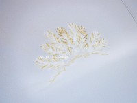 ��`�����F�T�����@�u���ɏ��v����������@�c����